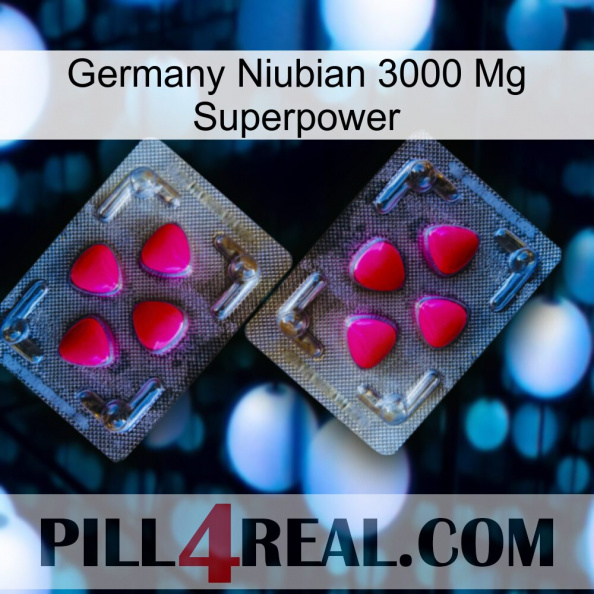 Germany Niubian 3000 Mg Superpower 15.jpg